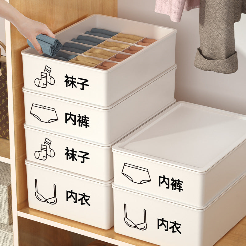 Compartment Underwear Storage Box
