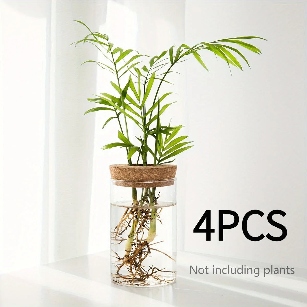 Glass Hydroponic Propagation Vase