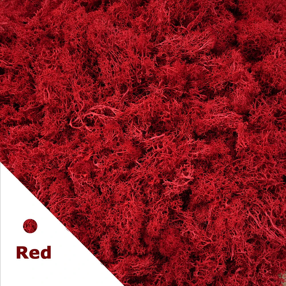 Artificial Preserved Moss 200g