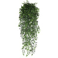 Persian Fern Hanging Vine Garland
