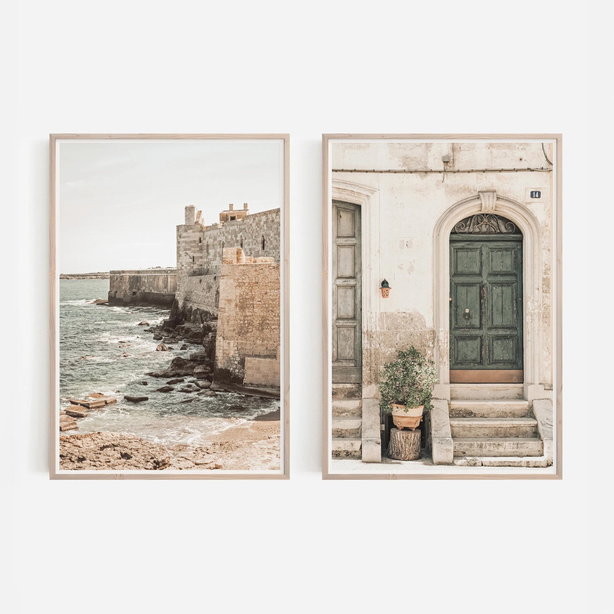 Olive Tree Botanical Art Prints (Set of 2)