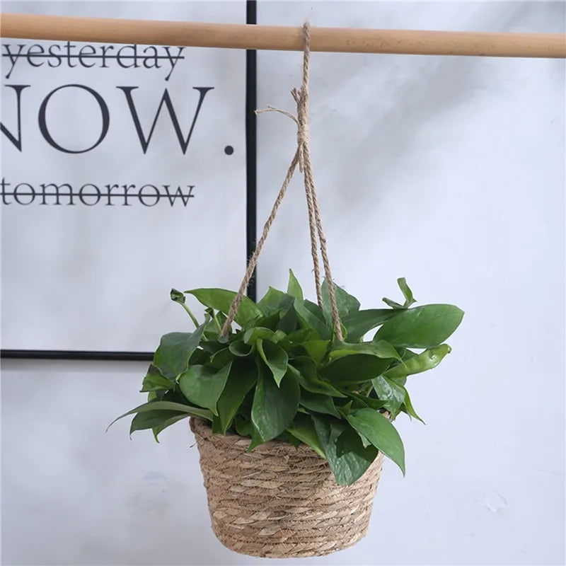 Macrame Hanging Plant Pot Holder