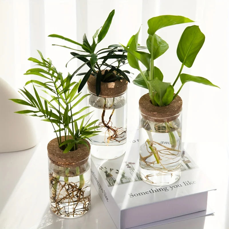 Glass Hydroponic Propagation Vase