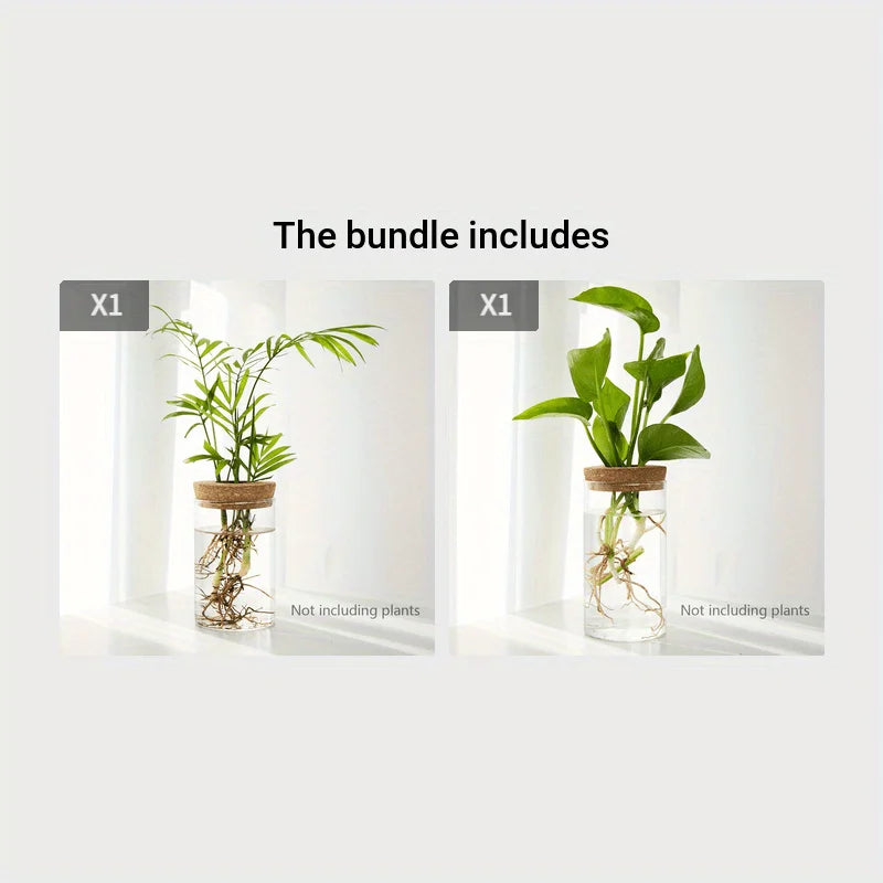 Glass Hydroponic Propagation Vase
