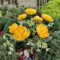 7-Head Camellia Solar Light