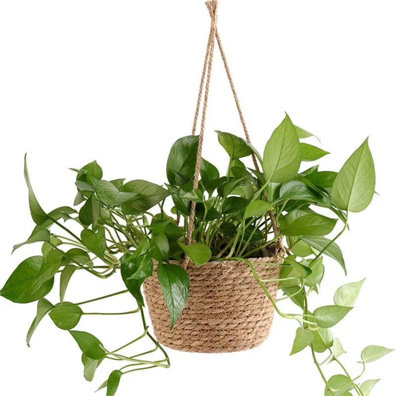 Macrame Hanging Plant Pot Holder