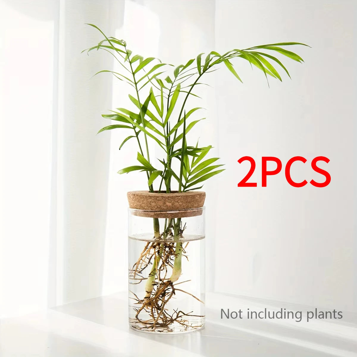 Glass Hydroponic Propagation Vase