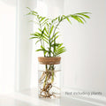 Glass Hydroponic Propagation Vase