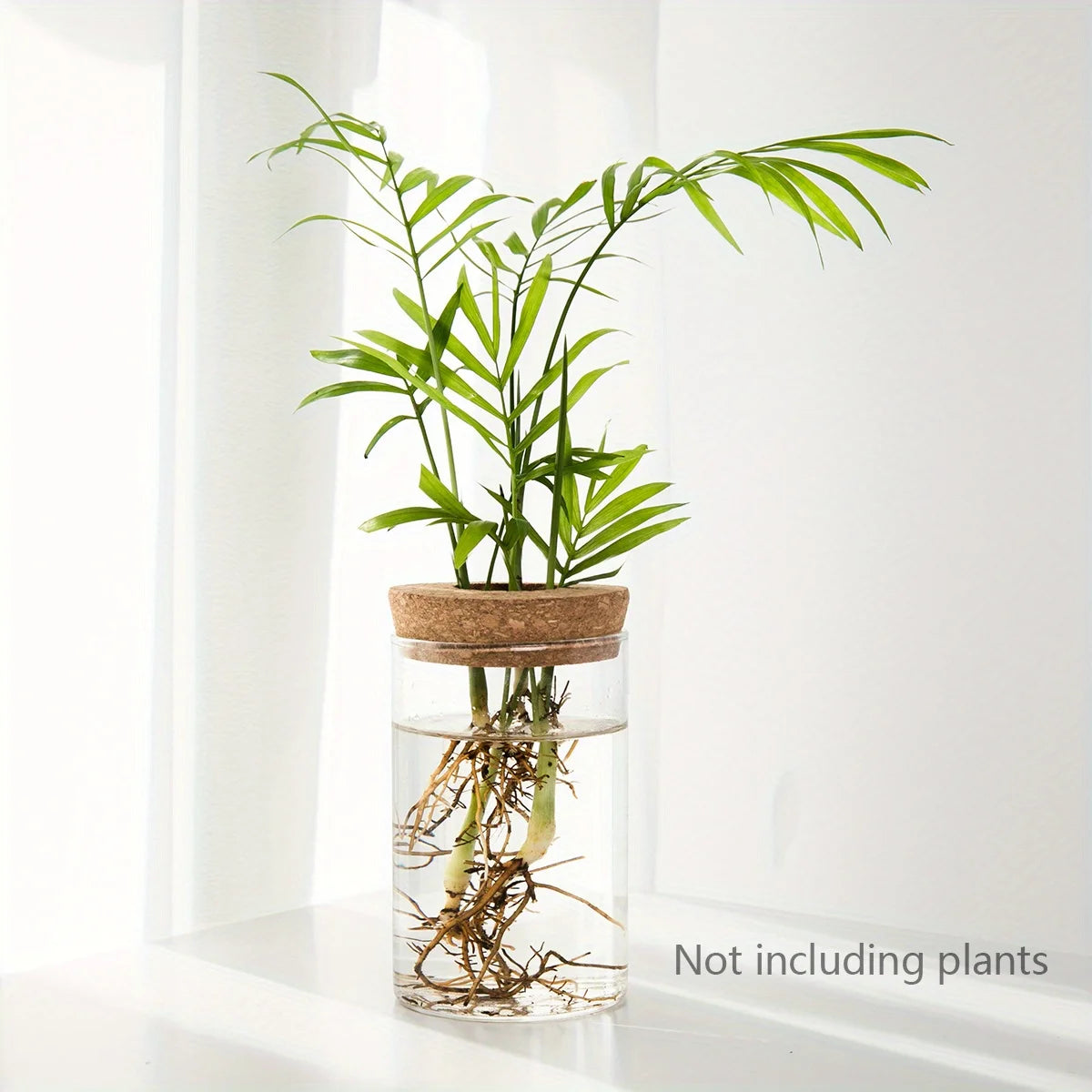 Glass Hydroponic Propagation Vase