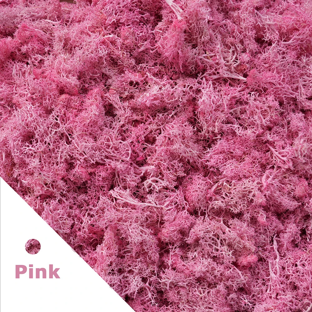 Artificial Preserved Moss 200g