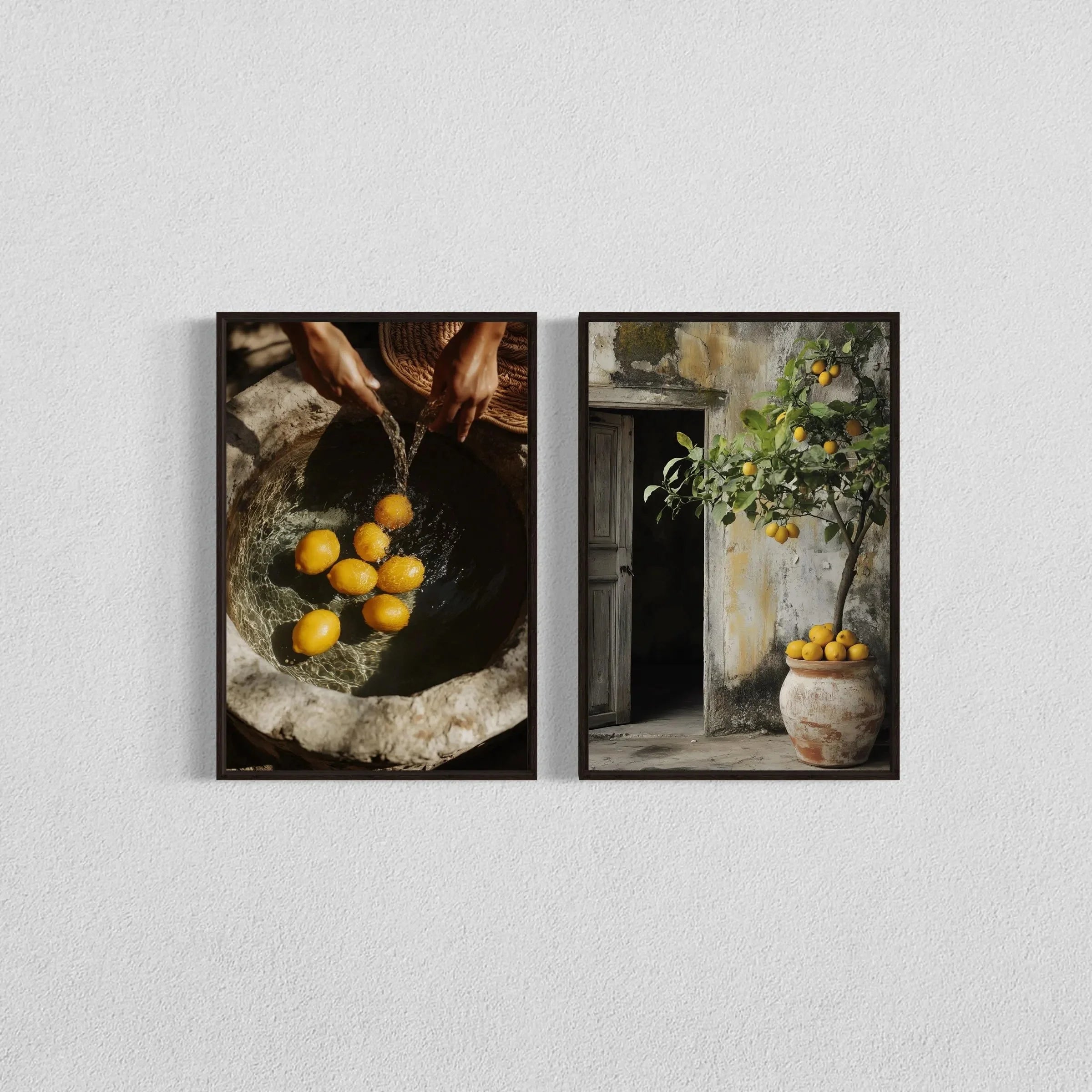 Olive Tree Botanical Art Prints (Set of 2)