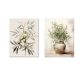 Olive Tree Botanical Art Prints (Set of 2)