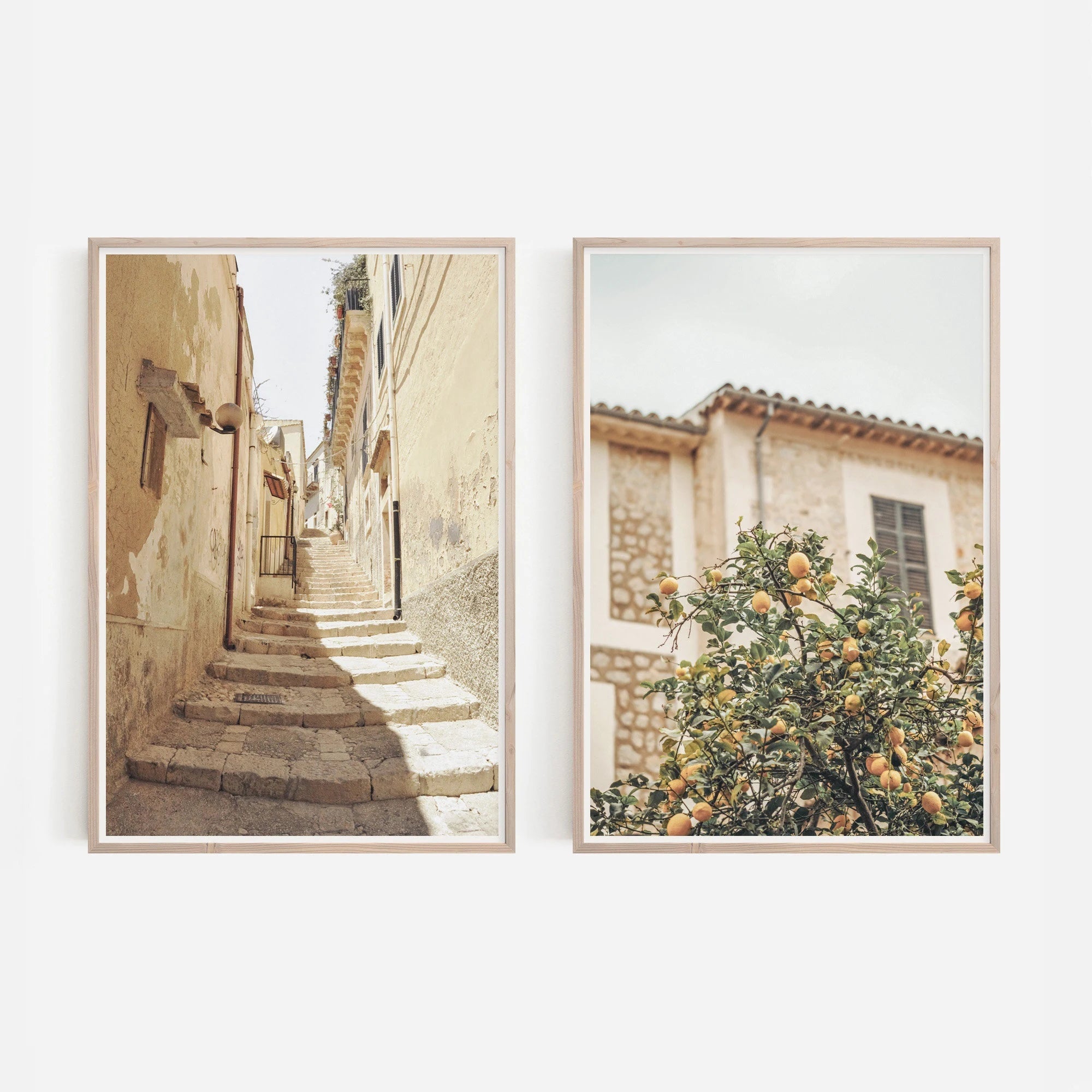 Olive Tree Botanical Art Prints (Set of 2)