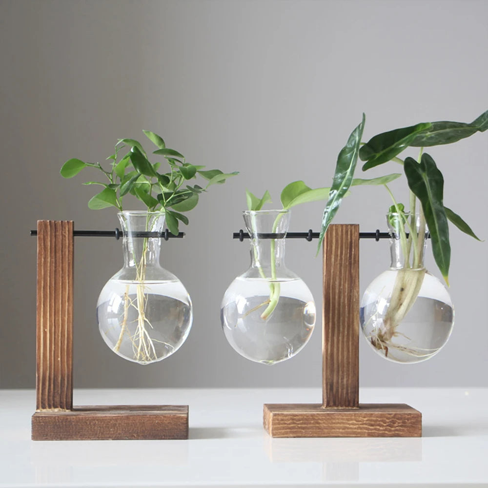 Glass Bulb Vase Wooden Stand