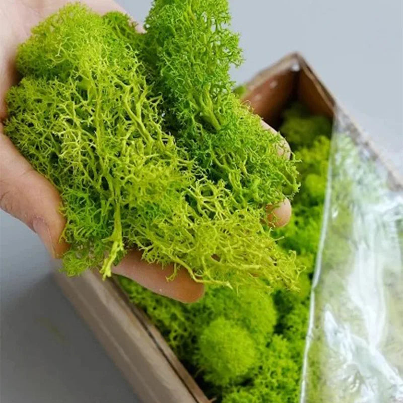 Artificial Preserved Moss 200g
