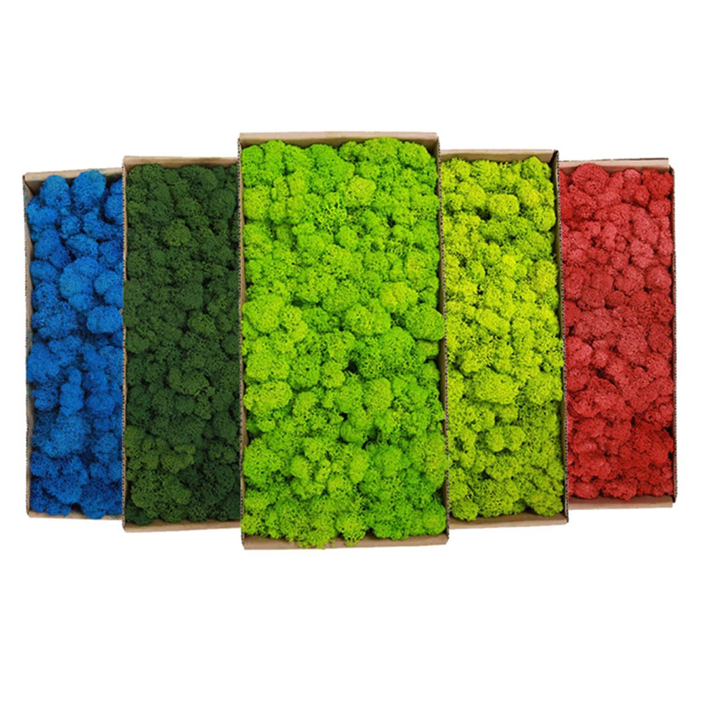 Artificial Preserved Moss 200g