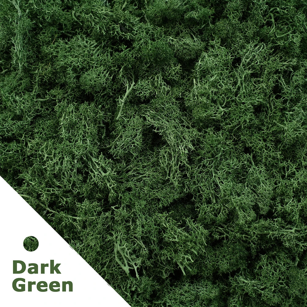 Artificial Preserved Moss 200g