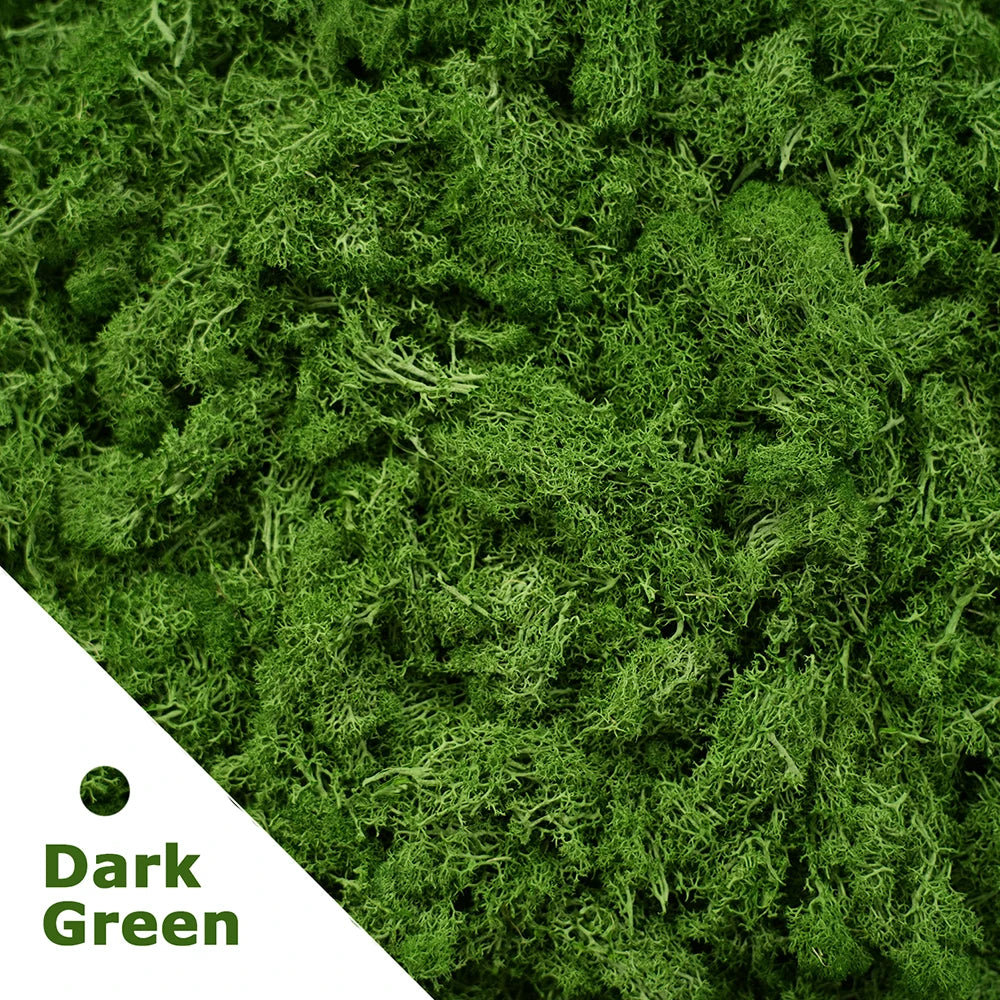 Artificial Preserved Moss 200g