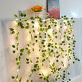 Battery Ivy Vine Fairy Lights