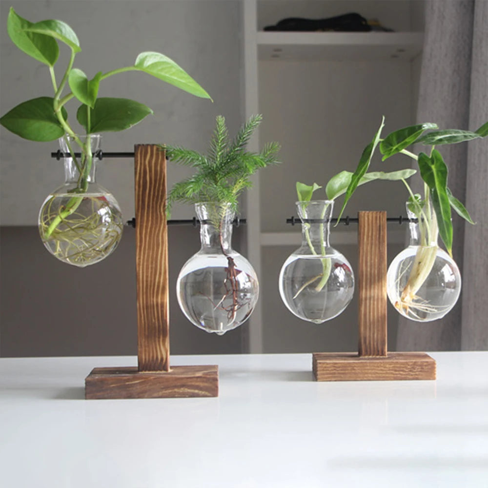 Glass Bulb Vase Wooden Stand