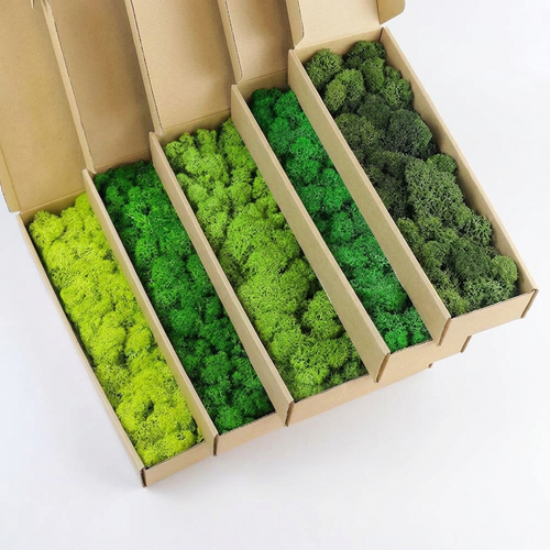 Artificial Preserved Moss 200g