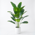 Large Artificial Palm & Monstera Leaves